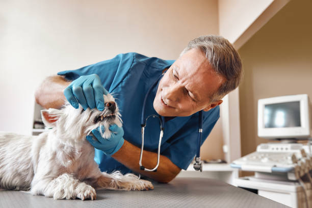 Best Urgent Dental Care in Ellinwood, KS