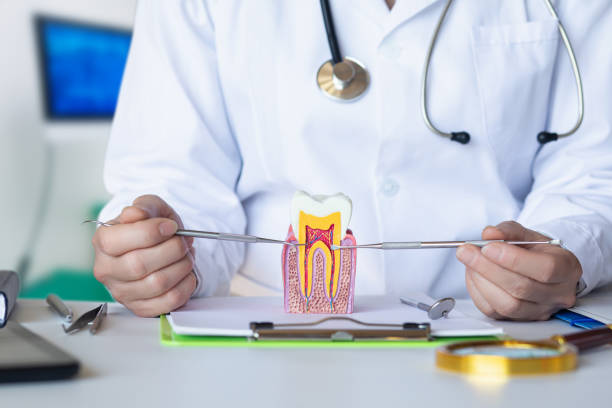 Best Pediatric Emergency Dentist in Ellinwood, KS